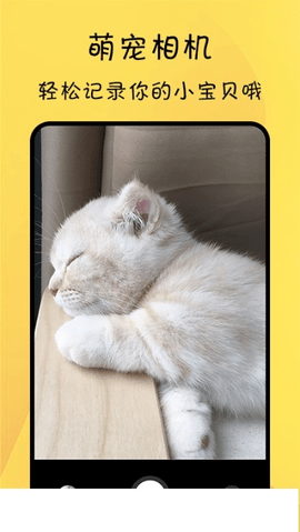 猫友舍1