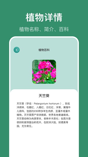 花仙识花草0