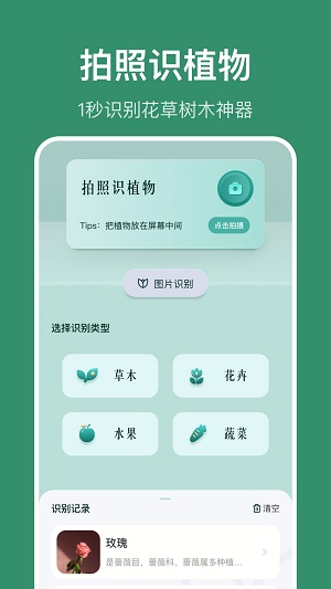 花仙识花草1