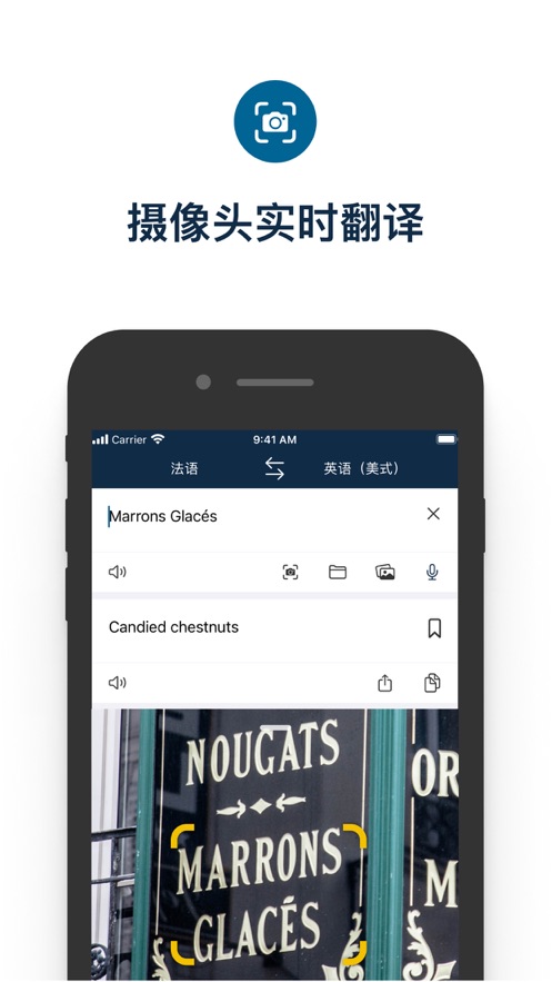 DeepL翻译器1