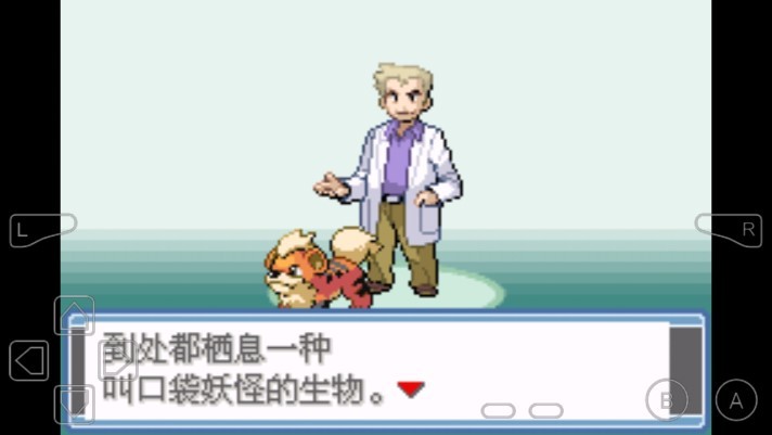 口袋妖怪永恒之炎作弊3