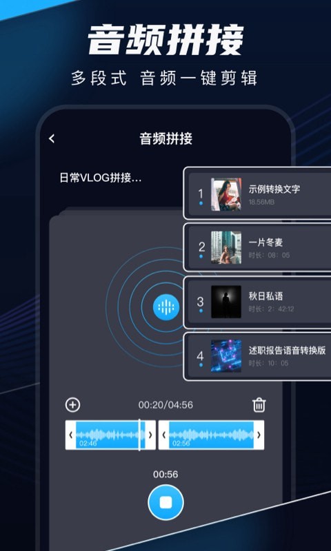 随声录2