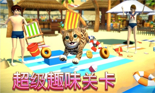 完美猫星人2