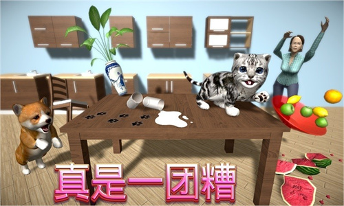 完美猫星人3