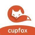 茶杯狐 Cupfox