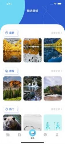 茶杯狐 Cupfox0