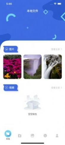 茶杯狐 Cupfox1