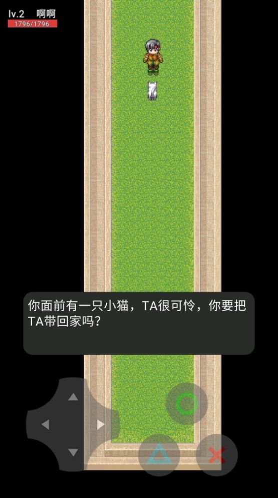 猫咪惊魂23