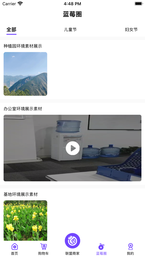 蓝莓缘3