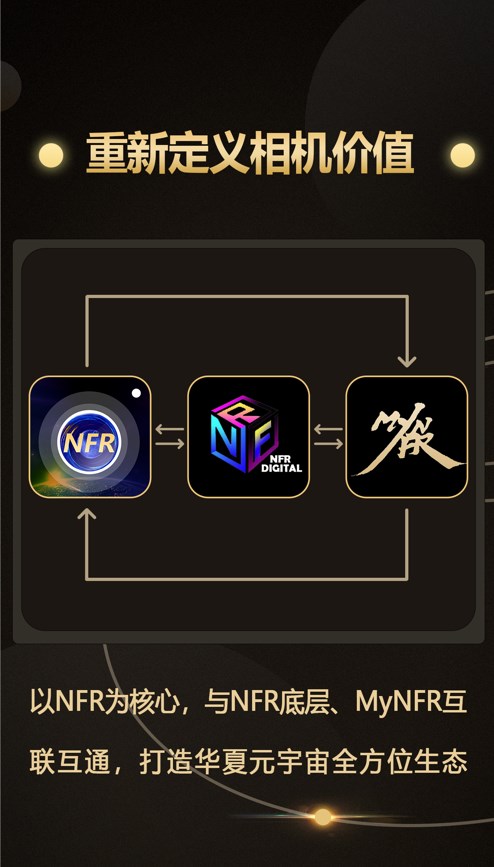 NFR相机1