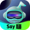 Say嗨元宇宙