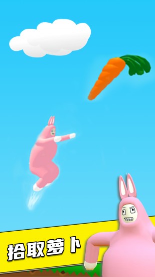 疯狂兔子人双人联机版3