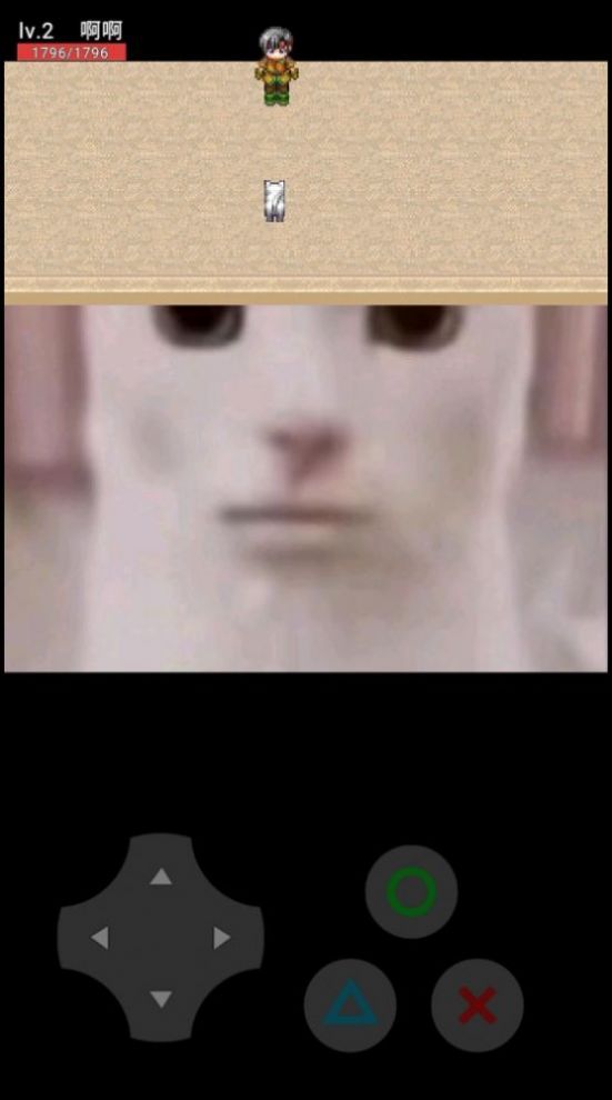 猫猫惊魂手机2
