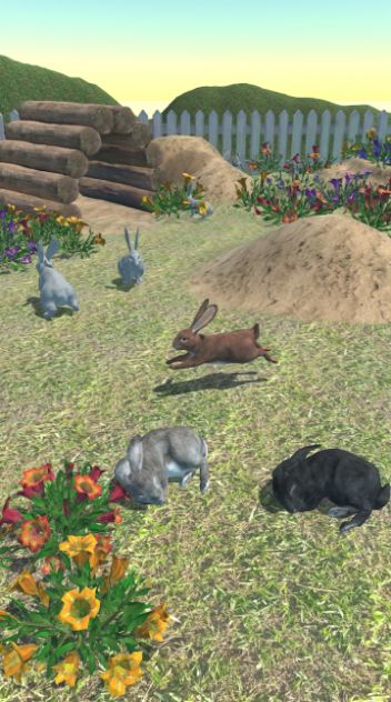 兔子朋友0