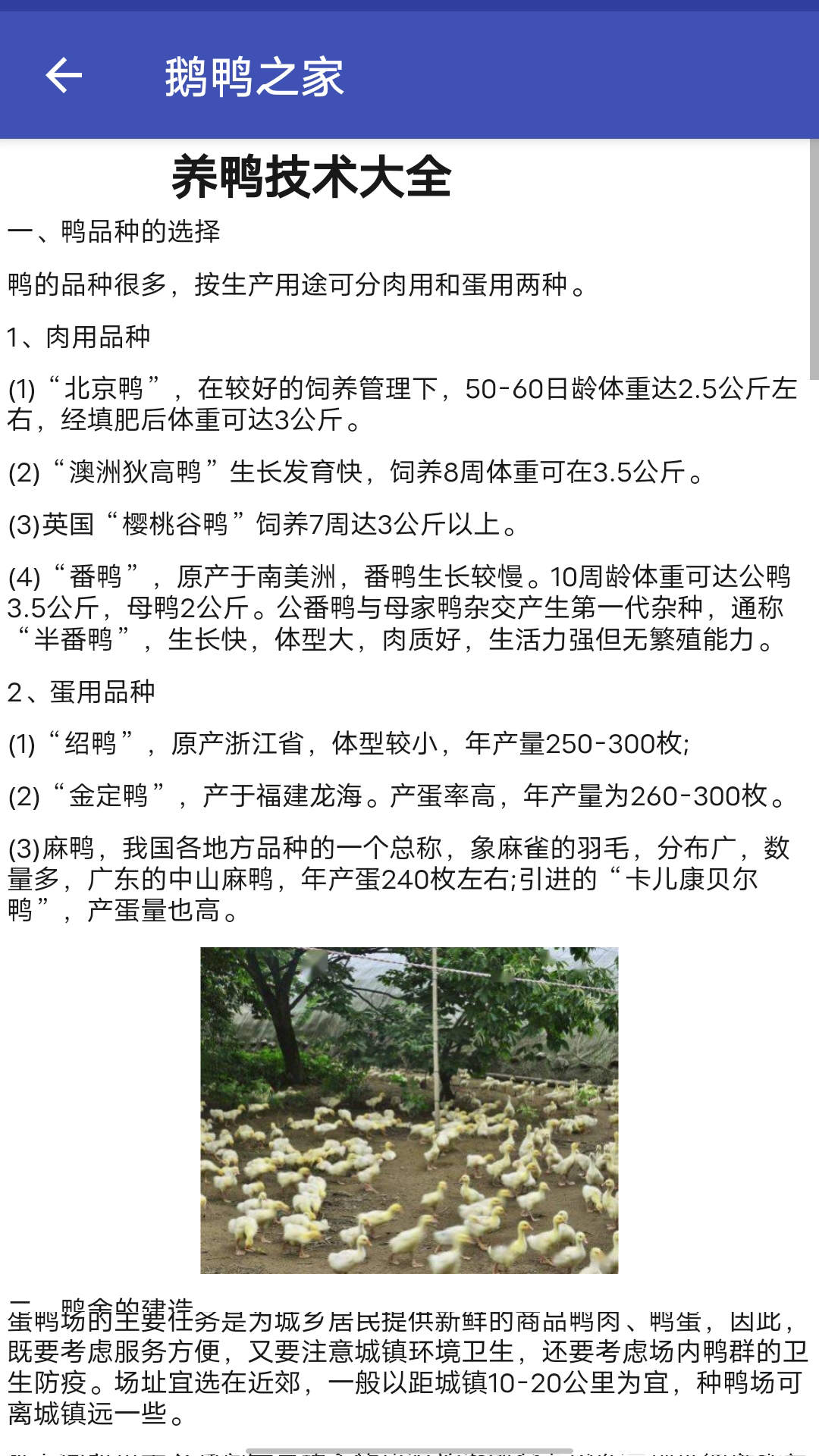 鹅鸭之家0