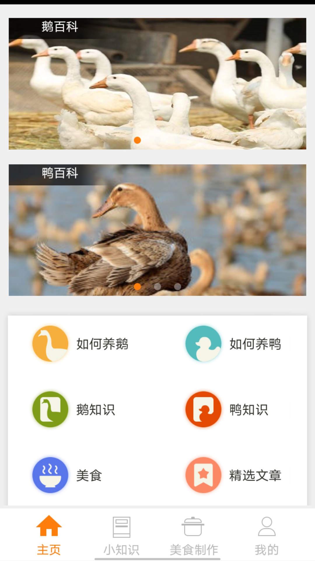 鹅鸭之家1