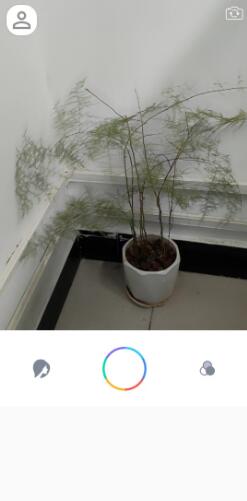 惊鸿相机1