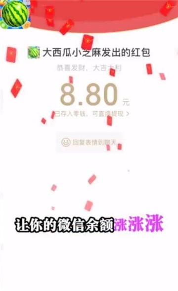 大西瓜小芝麻3