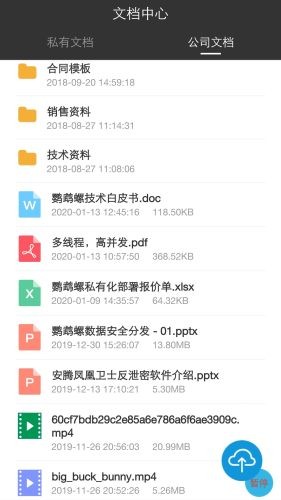 鹦鹉螺1