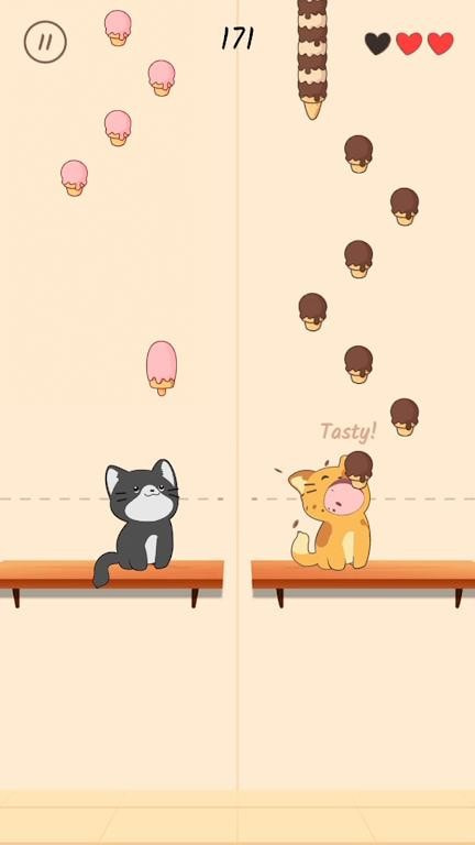 二重奏猫3