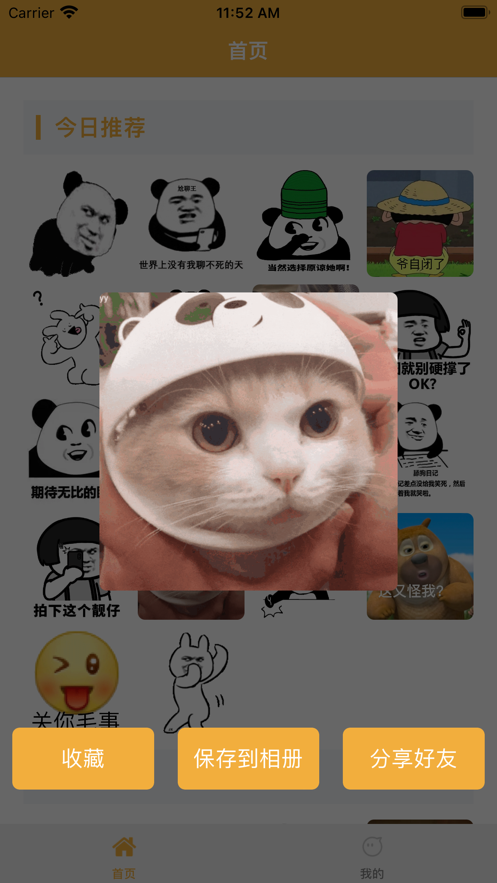 巨萌1