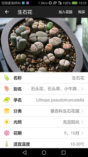 爱花草0