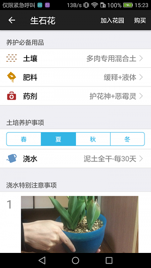 爱花草1