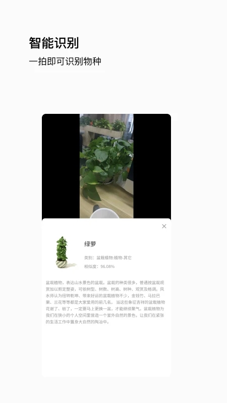 唞蜗1