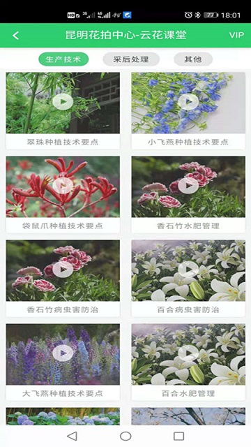 花拍服务供2