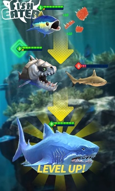 鲨鲨进化论游戏3