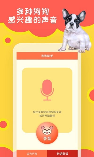 狗狗小助手0