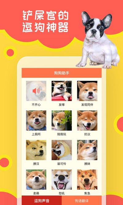 狗狗小助手1