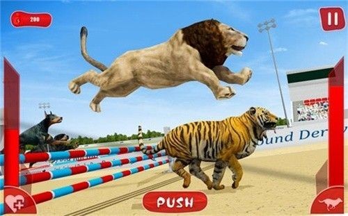 狮子赛跑3d(LionRace3d)1