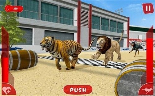 狮子赛跑3d(LionRace3d)2
