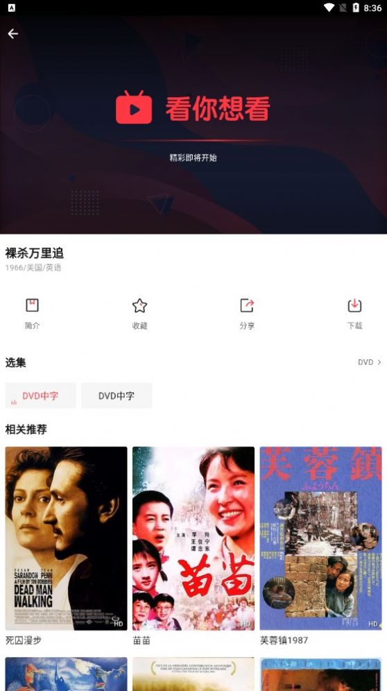 火苗电影1