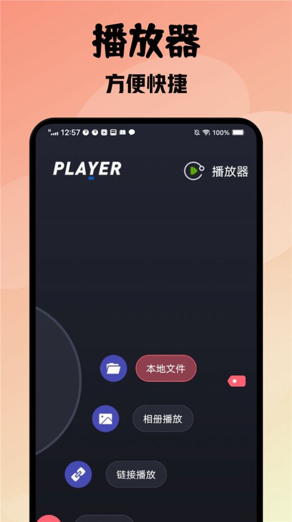紫电播放器1