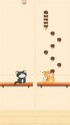 猫咪二重奏0