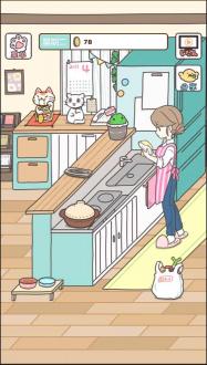 家猫的日常2