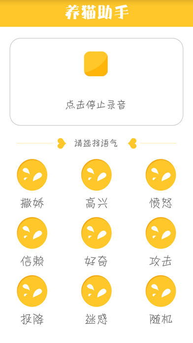 养猫助手0
