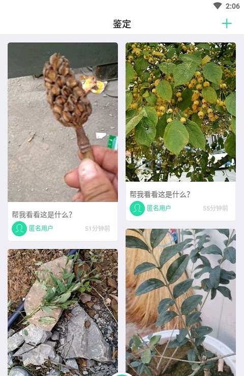 掌上植物网2
