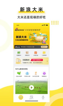 新浪米版0