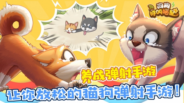 狗狗呼叫喵星3