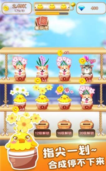 花花后院2