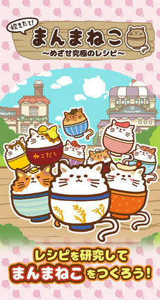 猫咪盖饭3