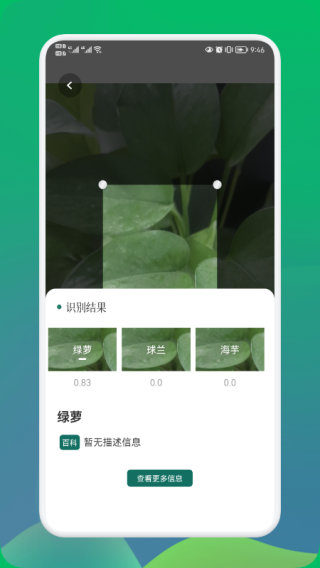 小园丁app安卓版0