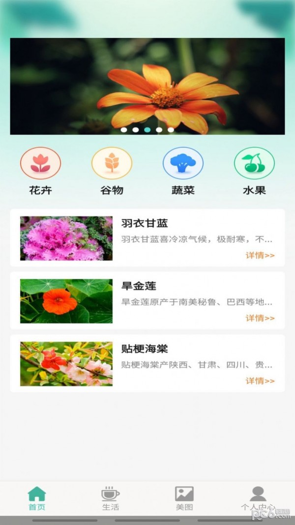 百草万象园0