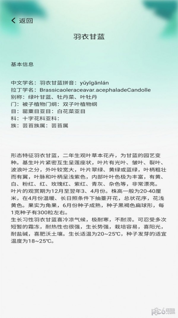 百草万象园2