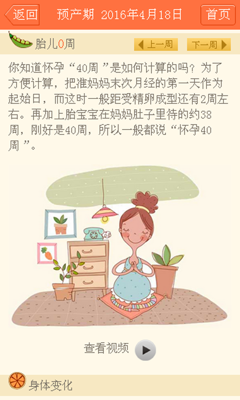 孕期好帮手1