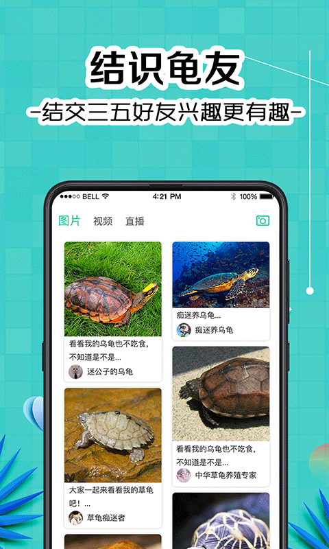 龟友圈2