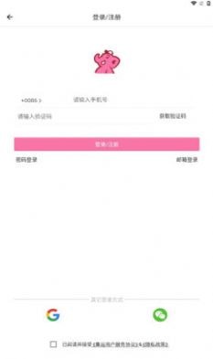 憨憨集运2